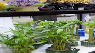 PAWG Taking BBC Backshots