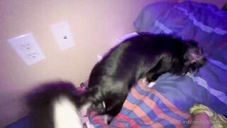 Sweet Honey From The Islands