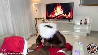 Holly spreads christmas cheer